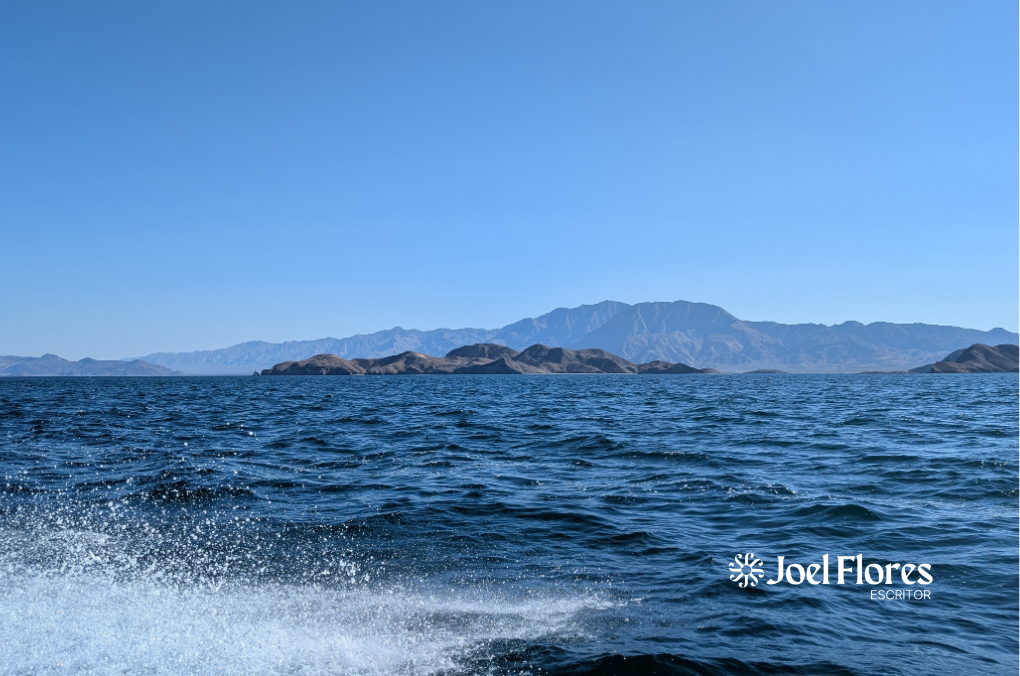 Plata de Bahía de los Ángeles en Baja California Sur
