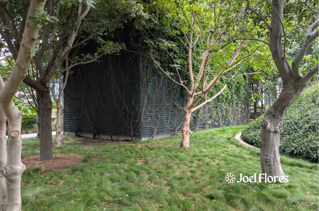 Pie de foto sugerido: “Un bosque compartido en el corazón financiero de la ciudad.”