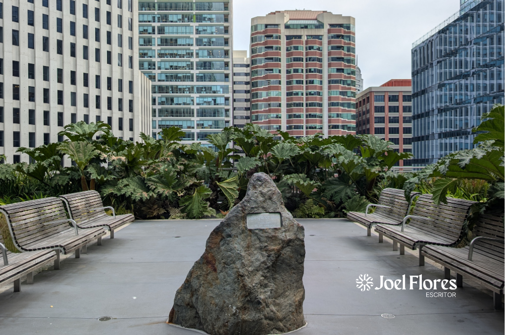 Pie de foto: “Salesforce Park, un pulmón en el cielo de San Francisco.”